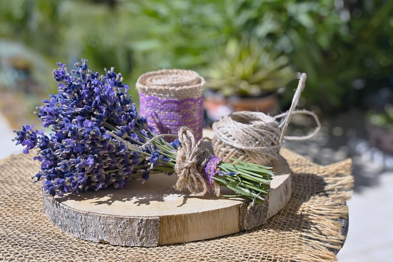 Herbal Projects